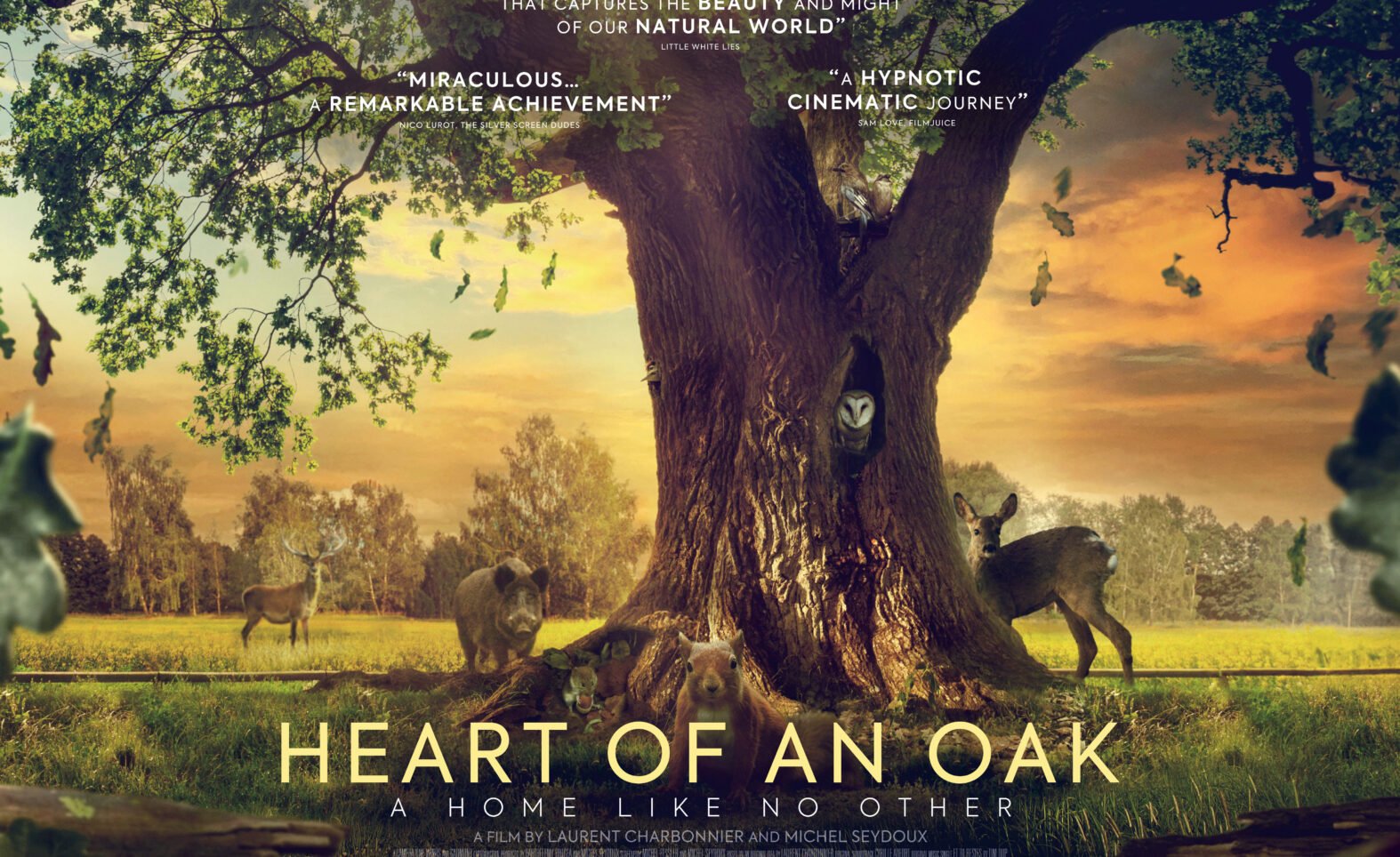 “Heart of an Oak” Soars with Aerial Cinematography of the Decade