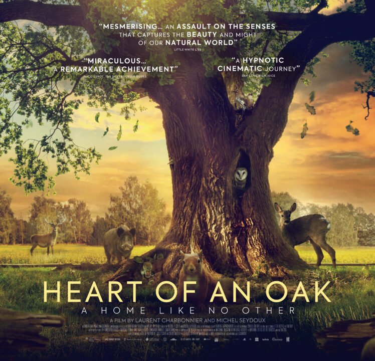 “Heart of an Oak” Soars with Aerial Cinematography of the Decade