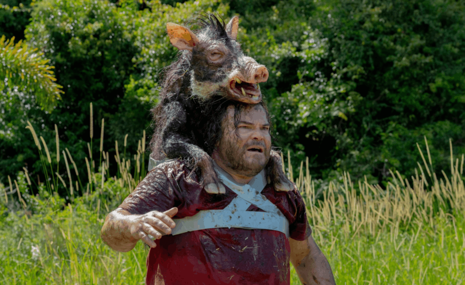 Anaconda: Midlife Crises and Finding Heart